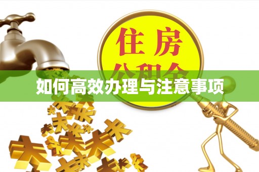 清原如何高效办理与注意事项
