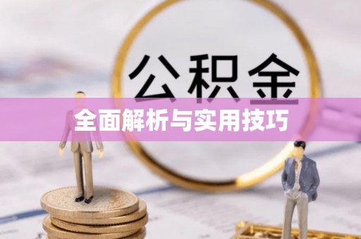 清原全面解析与实用技巧