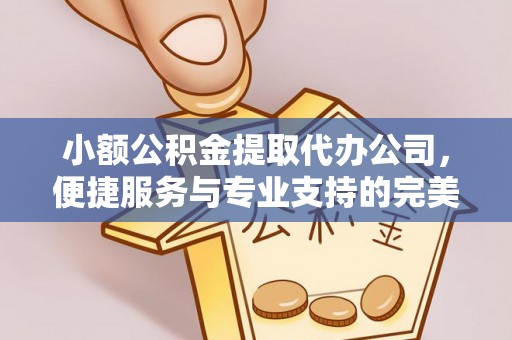 清原小额公积金提取代办公司，便捷服务与专业支持的完美结合