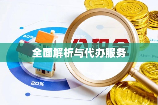 清原全面解析与代办服务