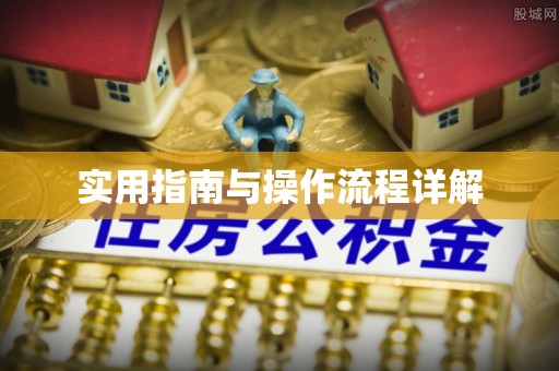 清原实用指南与操作流程详解